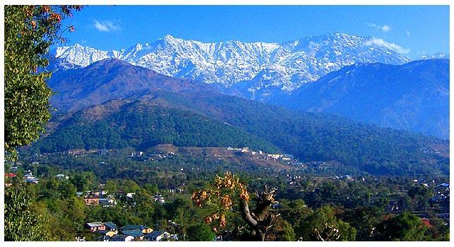 Angel'S Inn Resort Dharamshala Exterior photo